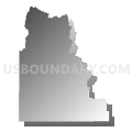 Census Tract 9701, Camas County, Idaho (Gray Gradient Fill with Shadow)