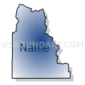 Census Tract 9701, Camas County, Idaho (Radial Fill with Shadow)