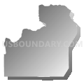 Census Tract 20, Kootenai County, Idaho (Gray Gradient Fill with Shadow)