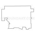 Census Tract 9521, Douglas County, Illinois (Light Gray Border)