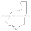Census Tract 9800, Winnebago County, Illinois (Light Gray Border)