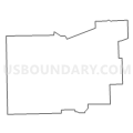 Census Tract 603, Clark County, Illinois (Light Gray Border)