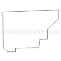 Census Tract 9782, Richland County, Illinois (Light Gray Border)