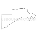 Census Tract 9580, White County, Illinois (Light Gray Border)