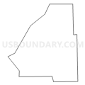 Census Tract 8411, Cook County, Illinois (Light Gray Border)