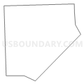Census Tract 8252, Cook County, Illinois (Light Gray Border)
