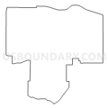 Census Tract 305, Henry County, Illinois (Light Gray Border)