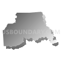Census Tract 409.01, Livingston Parish, Louisiana (Gray Gradient Fill with Shadow)