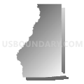 Census Tract 401, Livingston Parish, Louisiana (Gray Gradient Fill with Shadow)