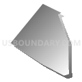 Census Tract 9605, Madison Parish, Louisiana (Gray Gradient Fill with Shadow)