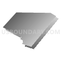Census Tract 9603, Madison Parish, Louisiana (Gray Gradient Fill with Shadow)