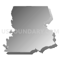 Census Tract 9602, Madison Parish, Louisiana (Gray Gradient Fill with Shadow)