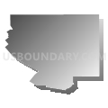 Census Tract 9601, Acadia Parish, Louisiana (Gray Gradient Fill with Shadow)