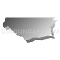 Census Tract 9513, East Feliciana Parish, Louisiana (Gray Gradient Fill with Shadow)