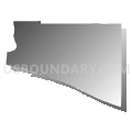 Census Tract 9701, Cameron Parish, Louisiana (Gray Gradient Fill with Shadow)