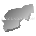 Census Tract 505, Assumption Parish, Louisiana (Gray Gradient Fill with Shadow)