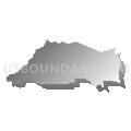 Census Tract 9501, Vermilion Parish, Louisiana (Gray Gradient Fill with Shadow)
