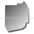Census Tract 215, Caddo Parish, Louisiana (Gray Gradient Fill with Shadow)