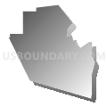 Census Tract 238, Caddo Parish, Louisiana (Gray Gradient Fill with Shadow)