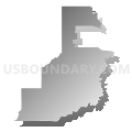 Census Tract 4, Jefferson Davis Parish, Louisiana (Gray Gradient Fill with Shadow)