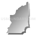 Census Tract 9503, Evangeline Parish, Louisiana (Gray Gradient Fill with Shadow)
