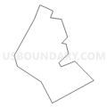 Census Tract 401, Suffolk County, Massachusetts (Light Gray Border)