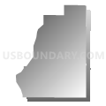 Census Tract 501.11, Anoka County, Minnesota (Gray Gradient Fill with Shadow)