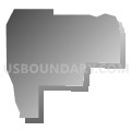 Census Tract 605.02, Dakota County, Minnesota (Gray Gradient Fill with Shadow)