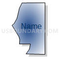Census Tract 606.03, Dakota County, Minnesota (Radial Fill with Shadow)