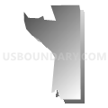 Census Tract 511.01, Anoka County, Minnesota (Gray Gradient Fill with Shadow)