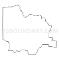 Census Tract 4803, Texas County, Missouri (Light Gray Border)