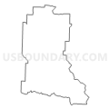 Census Tract 9605, Barry County, Missouri (Light Gray Border)