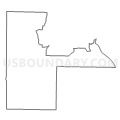 Census Tract 206.01, Newton County, Missouri (Light Gray Border)
