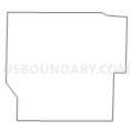 Census Tract 117, Jasper County, Missouri (Light Gray Border)
