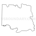 Census Tract 4902, Randolph County, Missouri (Light Gray Border)