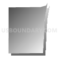 Census Tract 68.03, Douglas County, Nebraska (Gray Gradient Fill with Shadow)