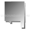 Census Tract 8, Douglas County, Nebraska (Gray Gradient Fill with Shadow)