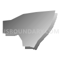Census Tract 25, Douglas County, Nebraska (Gray Gradient Fill with Shadow)