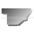 Census Tract 36, Douglas County, Nebraska (Gray Gradient Fill with Shadow)