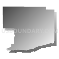 Census Tract 9691, Buffalo County, Nebraska (Gray Gradient Fill with Shadow)
