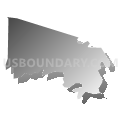 Census Tract 401.02, Morris County, New Jersey (Gray Gradient Fill with Shadow)