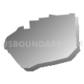 Census Tract 507.01, Somerset County, New Jersey (Gray Gradient Fill with Shadow)