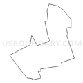Census Tract 5181, Nassau County, New York (Light Gray Border)