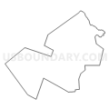Census Tract 7406, Schoharie County, New York (Light Gray Border)
