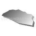 Census Tract 40.11, Forsyth County, North Carolina (Gray Gradient Fill with Shadow)