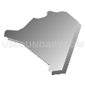 Census Tract 104, Nash County, North Carolina (Gray Gradient Fill with Shadow)