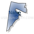 Census Tract 1, Pitt County, North Carolina (Radial Fill with Shadow)