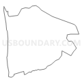 Census Tract 903, Duplin County, North Carolina (Light Gray Border)