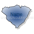 Census Tract 9602, Transylvania County, North Carolina (Radial Fill with Shadow)