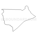 Census Tract 802, Davie County, North Carolina (Light Gray Border)